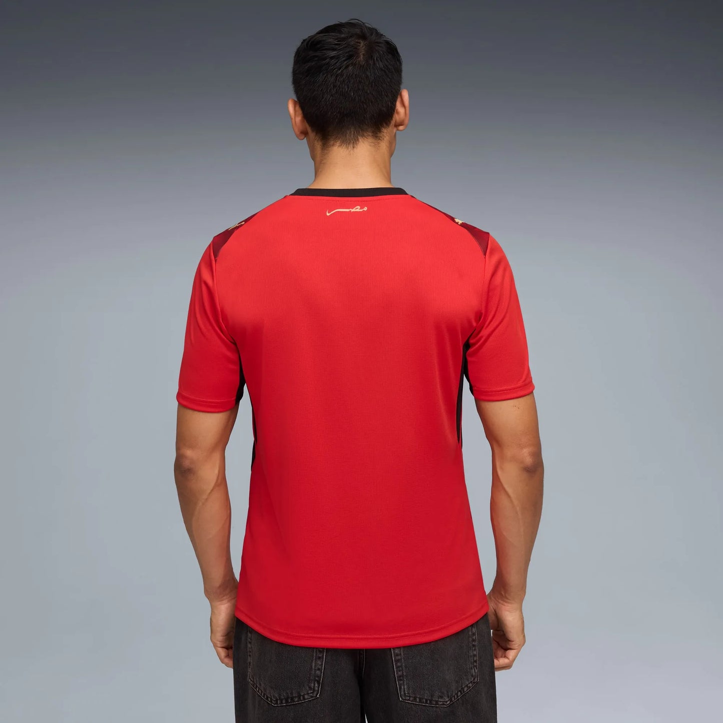 Jersey Egypt Home 2026